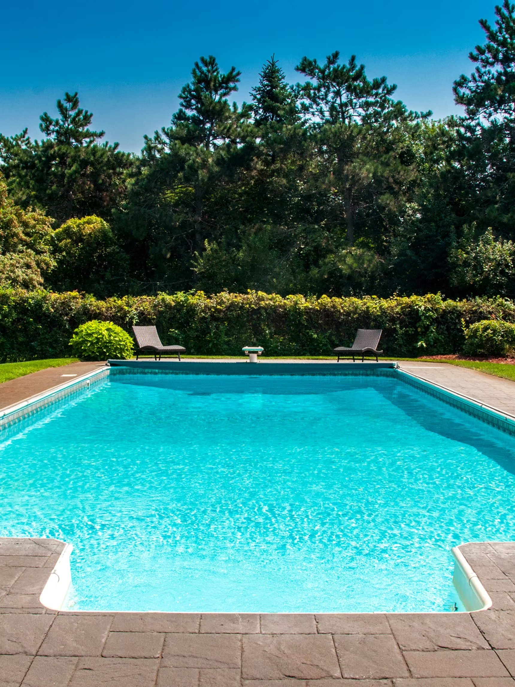 imgi_21_07dc9d_7ef47f106fea4328be8881525128fb5f~mv2